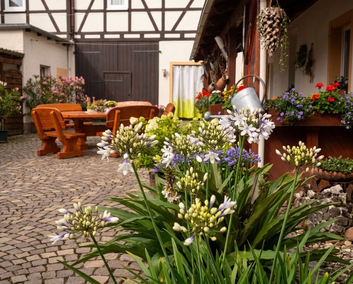 Pension Sonnenhof